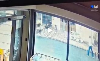 A wild boar broke a store window while escaping from dogs