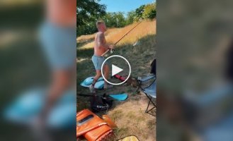 A cat versus a duck: a funny fight between two pets