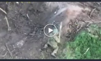 A Russian hits a Ukrainian drone with all his might with a stick, which fell to the ground and disappeared in a cloud of smoke and fire