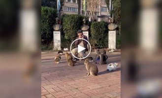 In Istanbul, a concert for cats was held