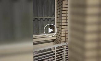 Найкраща система відеоспостереження