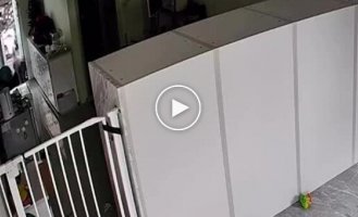 Обезьяна украла еду из дома женщины, а затем ударила ее