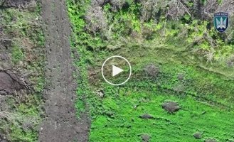 Ptakhi Madyara hit 696 unique enemy targets in just one day