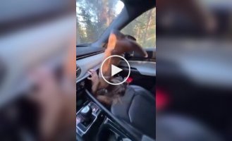 Парень наглядно показал, почему нельзя ставить ноги на панель в машине
