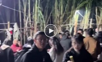 Steal the cane if you can: a farmer transformed his field Into the game