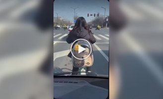 В тесноте, да не в обиде