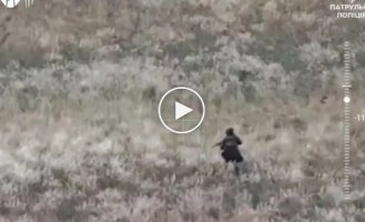 A decapitated liquidated Russian invader lies in the middle of a field in the Pokrovsky direction