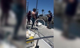 Умеющий ждать получает лучшее