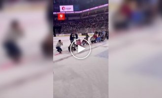 Как таксы бегают по льду