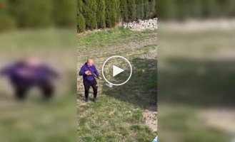 Дартс по-взрослому