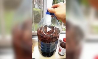Домашнее вино устроило неожиданный фонтан на кухне