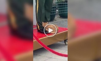 Security guard and a ginger cat