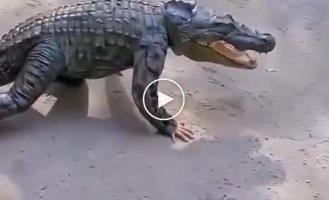 The prankster snuck up unnoticed.