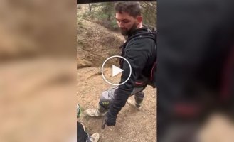 С такими друзьями врагов не нужно