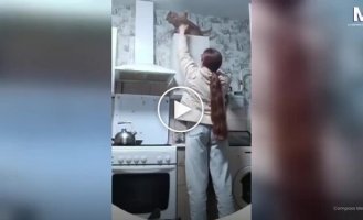 Попытка снять кошку со шкафа закончилась неожиданным финалом