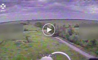 Уничтожены 2 танка, 3 ББМ, среди которых -Тигр, 3 БМП, бронетранспортер, 2 гаубицы и пушка МТ-12 Рапира
