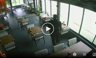 Лошади не понравилось отражение в стекле