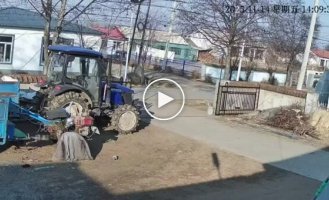 A wild boar crashed into a scooter