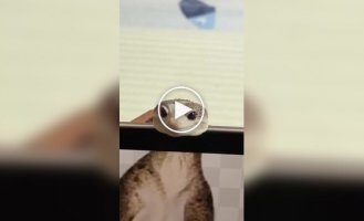 Встречайте, милозавры