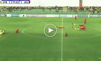 Bees laid football players and referees on the lawn in Tanzania