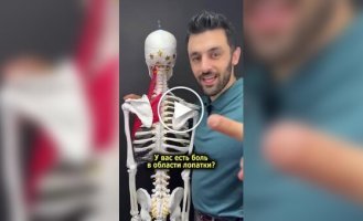 Как убрать боль в лопатках и избавиться от головной боли