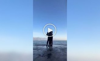 Бродячий кот добавил юмора в романтическое видео пары