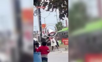 Транспорт подвел: курьер решил доставлять заказ верхом на лошади