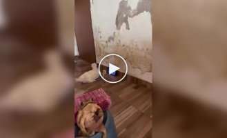 What's going on in this house