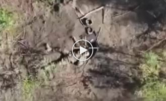 Нацгвардейцы ликвидировали штурмовую группу из 7 оккупантов