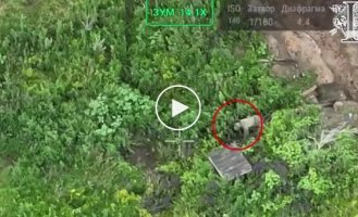 In the Sumy region, special forces of the special forces destroyed a Russian quadro-bicycle right in its cover