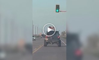 Тупиковая ветвь эволюции