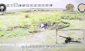 Спецназовцы из Нацгвардии только за сутки поразили три российские гаубицы