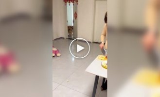 Mission Impossible: a dog version
