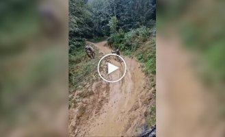 Bike racing. Or what will work