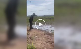 Схватка со змеей