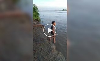Мальчик из Бразилии держит аллигатора как «домашнего питомца»