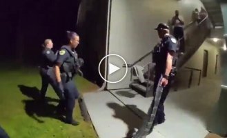 An unusual find: an alligator entered a residential building A house in Orlando