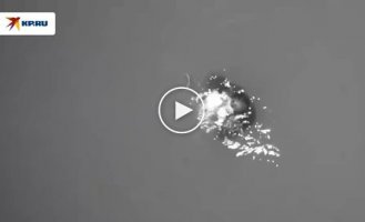 Ловушка для ловли лобстеров спасла жизнь серфингисту