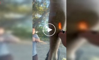 When friends' jokes get out of control