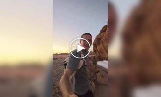 Crazy Airbnb Accommodation