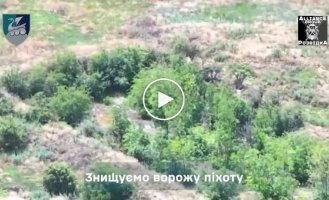 Marines destroyed enemy artillery and attacked Russian infantry