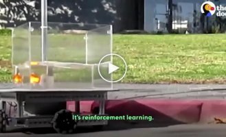 Goldfish were taught to operate an aquarium vehicle