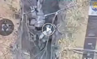Оккупант добивает своего раненого товарища прикладом автомата по голове
