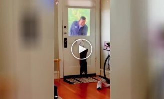 «О, привет!»: хозяева сняли на видео то, как их котики встречают курьеров