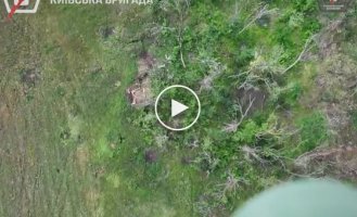 Воины 5 ОШБр уничтожили вражеский беспилотник, транспорт россиян, бронетехнику и минометную позицию