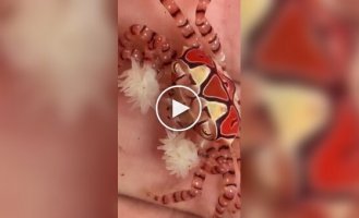 Краб-боксер с живыми помпонами