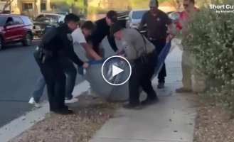 Arizona police caught a falling bear.