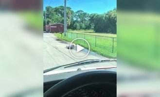 Пожилая женщина лежала лицом в луже, пока случайный прохожий не пришел на помощь