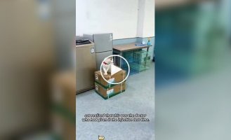 Из жизни ветеринаров