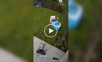 Слив воды из бассейна превратился в настоящее испытание